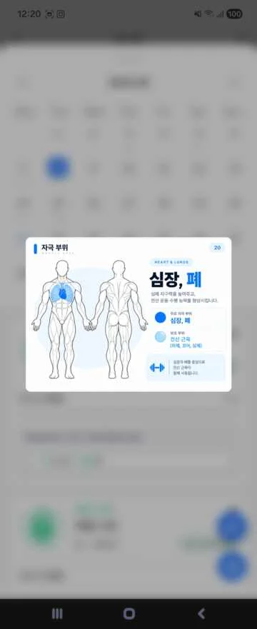 자극 부위