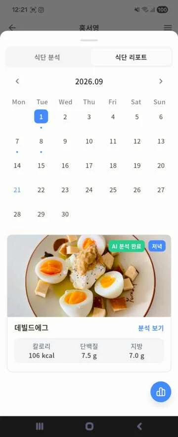 월간 식단 리포트