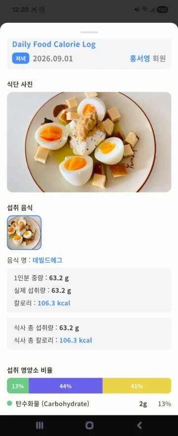 식단 상세 리포트